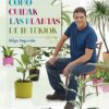 CÓMO CUIDAR PLANTAS DE INTERIOR