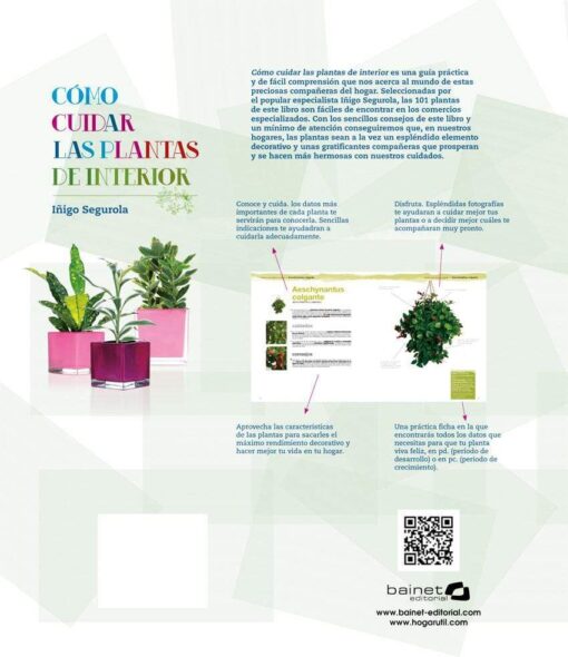 CÓMO CUIDAR PLANTAS DE INTERIOR