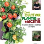 CÓMO CULTIVAR PLANTAS EN MACETAS